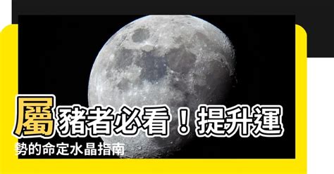 屬豬適合方位|【屬豬方位】屬豬者的風水方位、樓層、住宅吉利指南